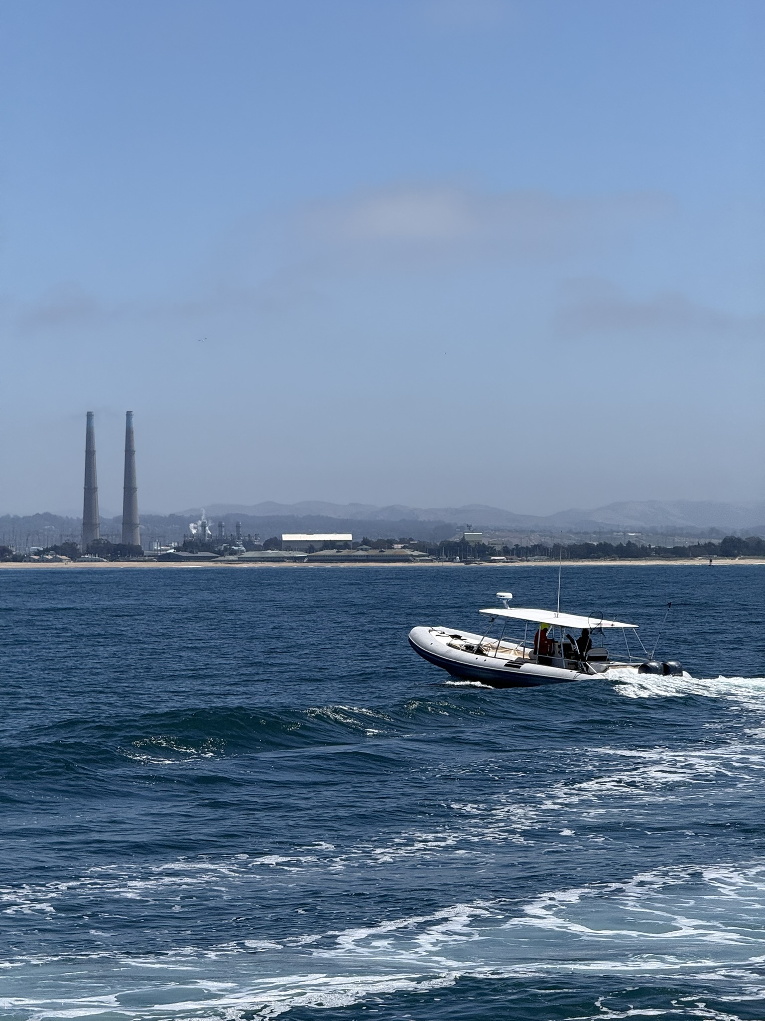 High Speed RHIB Whale Watch